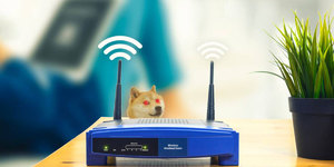 Как защитить свой Wi-Fi роутер от взлома с помощью простых приемов